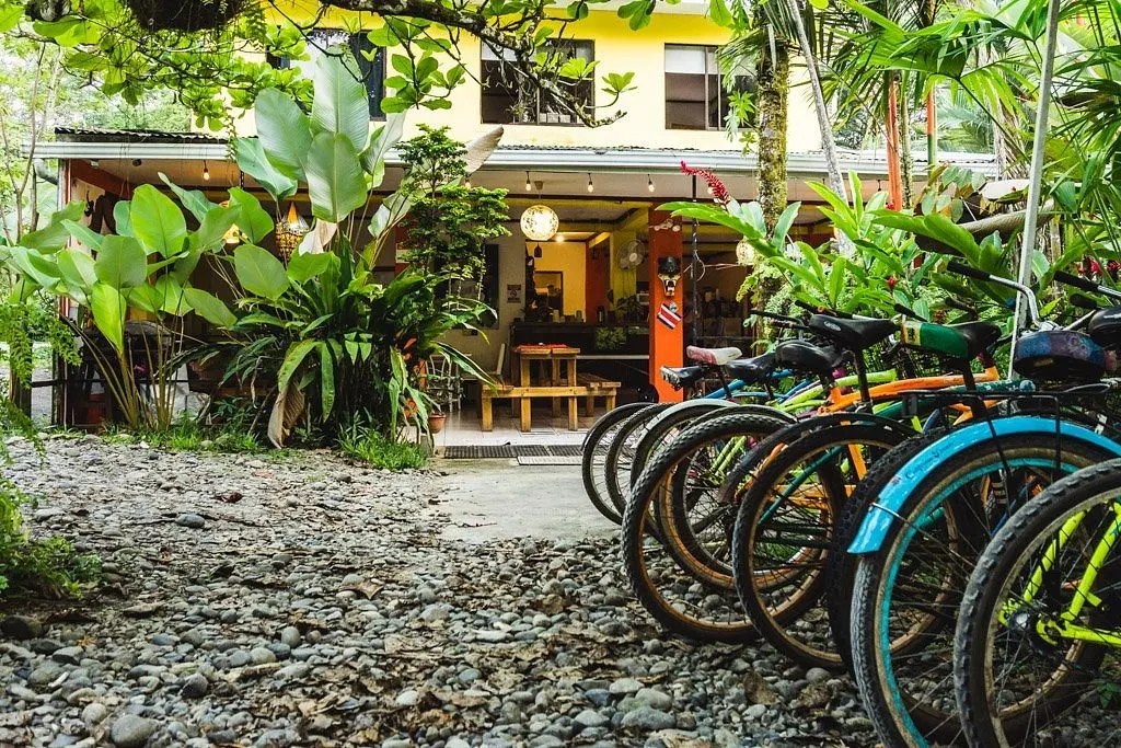 Bicicletas estacionadas frente a la casa amarilla y el jardín