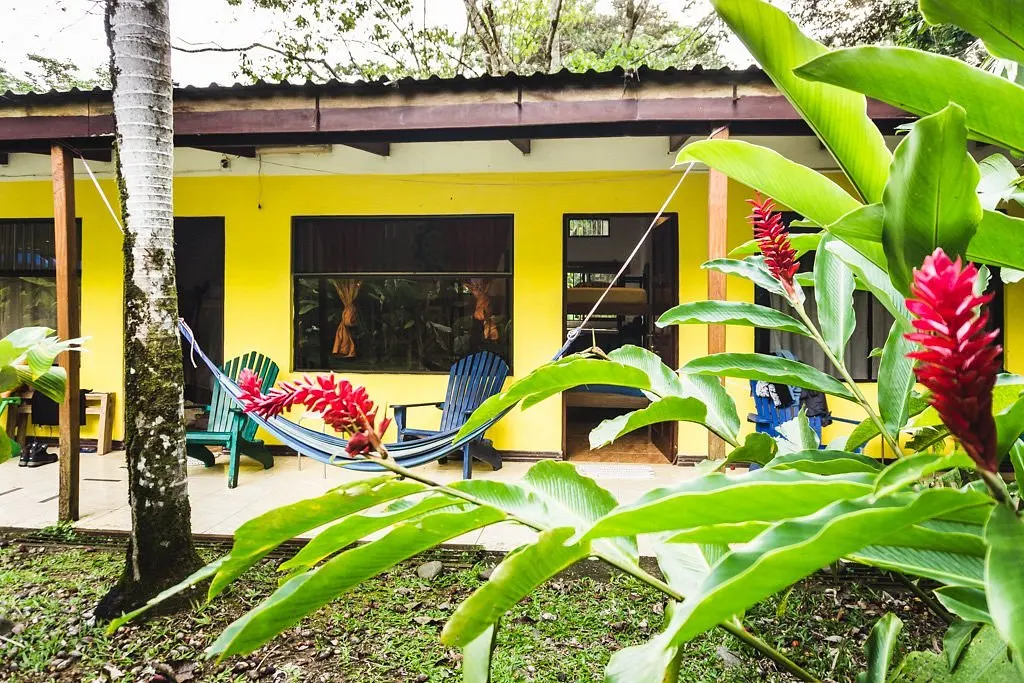 Fachada amarilla del hostel con heliconias rojas en primer plano